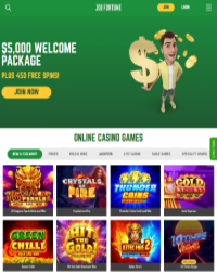 Joe Fortune Casino Screenshot