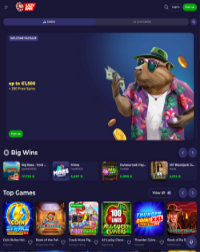 LazyBar Casino Screenshot