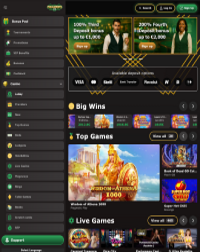 Megawaysvip Casino Screenshot