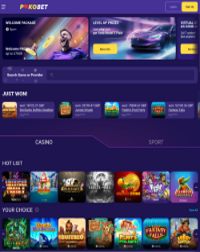 PokoBet Casino Screenshot