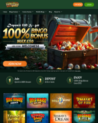 Robin Hood Bingo Casino Screenshot