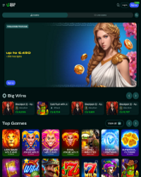 Savaspin Casino Screenshot