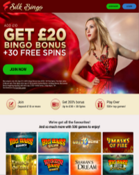 Silk Bingo Casino Screenshot