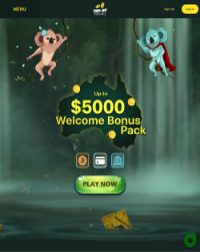 Two Up Casino Screenshot