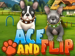 Ace and Flip
