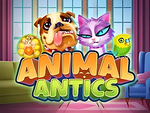 Animal Antics