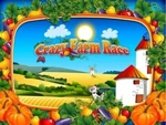 Crazy Farm Race