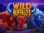 Wild Buffalos 7s