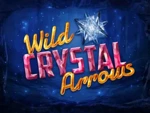 Wild Crystal Arrows